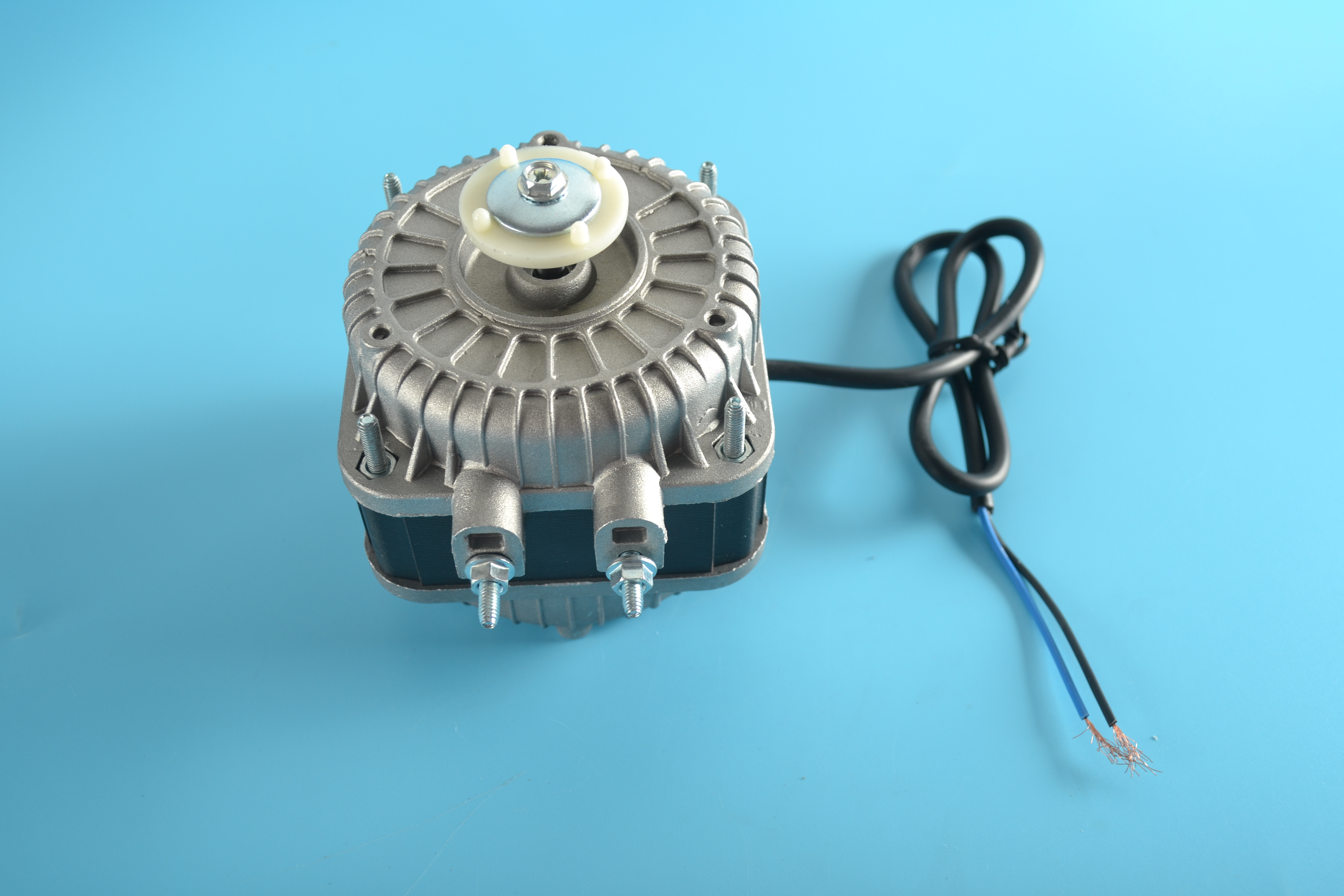Motor - B02010017